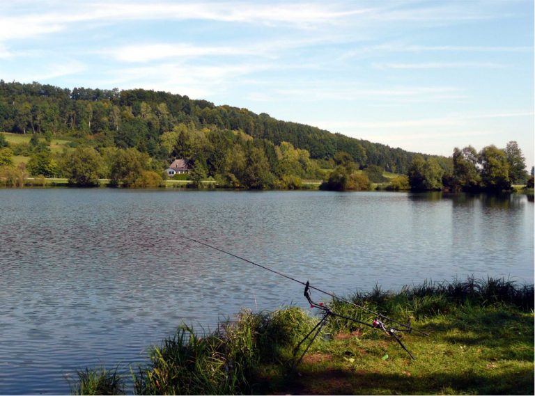 Zielfinger Angelseen Impressionen Zielfinger Angelseen Impressionen