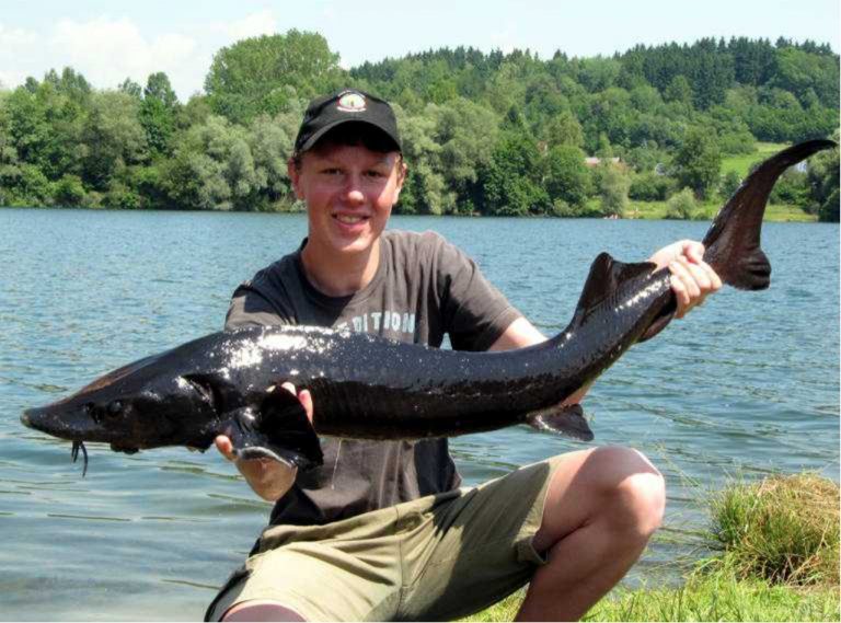 Zielfinger Angelseen Impressionen Zielfinger Angelseen Impressionen